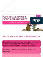 Quistes de Nariz y Senos Paranasales1