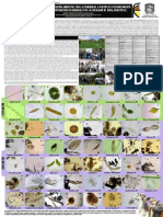 Fitoplancton y Zooplancton Humedales Bogotá D.C. 2015. Experiencia Localidad de Suba Humedal Córdoba y Conejera (Microalgas, Protozoos, Rotiferos, Anelidos, Platelmintos, Entre Otros)