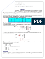 Trabalho Sobre Matrizes