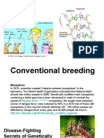 GMO and Conventional Breeding