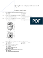 Chapter 7 Section 2