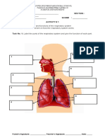 Activity Sheet Body System