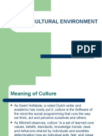 Cultural Environment