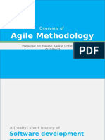 Agile Methodology: Overview of