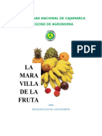 Monografia - La Maravilla de La Fruta