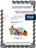 Ensayo de La Pluriculturalidad de Las Etnias en El Perú