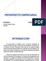 Presupuesto Empresarial Presentacion Powerpoint