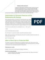 Production Geology Report