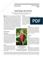 Alpinia Purpurata - Medicinal Uses PDF