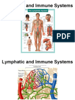 Lymphatic and Immune Systems