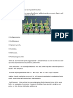 Role of Plant Growth Hormone in Vegetable Production