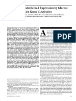 An Effect of Protein Kinase C Activation: Induction of Endothelin-1 Expression by Glucose