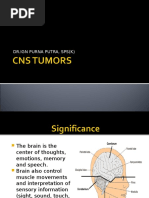 DR - Ign Purna Putra, Sps (K)