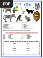 Collective Nouns - Animals PDF