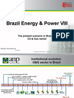 ANP BRazil Presentation