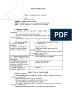 Xi Plan Lectie Rondel Macedonski