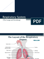 Respiratory System