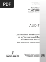 Audit Manual Spanish