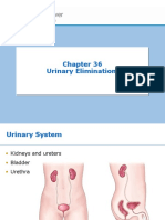 Week 11 - Ch. 36 - Urinary