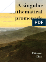 A Singular Mathematical Promenade