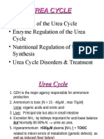 Urea Cycle