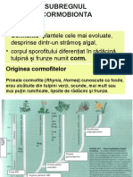 Curs Cormobionta