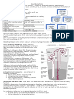 Renal Extra Notes: Total Body Water (TBW) 0.6 X Body Weight