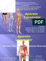 Aparato Locomotor