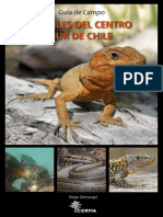 Reptiles de CentroSur de Chile