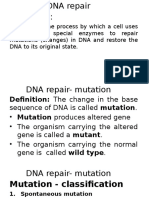 DNA Repair