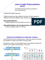 Simple-Sequence Length Polymorphisms: Sslps