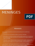 2 Meninges