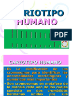 Cariotipo Humano