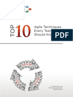 Top 10 Agile Techniques v14