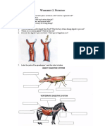 Worksheet 2. Nutrition