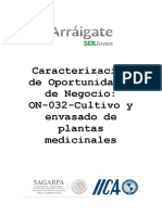 Caracterizacion de Oportunidades de Negocio-On-032-Cultivo y Envasado de Plantas Medicinales