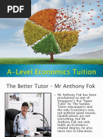 A Level Economics Tutor