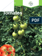 Programa Tomates