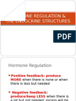 Hormone Regulation & Endocrine Structures