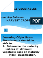 Produce Vegetables: Unit of Competency