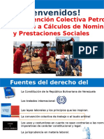 Manual CCP 2013-2015