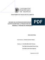 DAVIES - Estudio de Los Procesos Biotecnológicos de Acetificación para La Producción de Vinagre D...