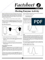 Enzyme Activity