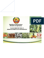 Plano Director para o Desenvolvimento de Agronegocio-Moz