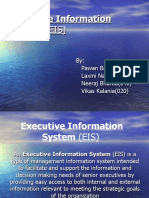 Executive Information System (EIS)