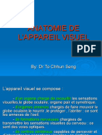 Anatomie de L'appareil Visuel