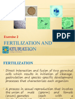 Fertilization and Maturation: Exercise 2