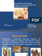 Dormición