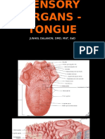 Sensory Organs - Tongue