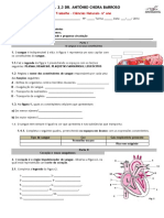 Ficha Sintese - Sistema Circulatorio